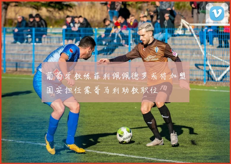 葡萄牙教练菲利佩佩德罗或将加盟国安担任蒙哥马利助教职位